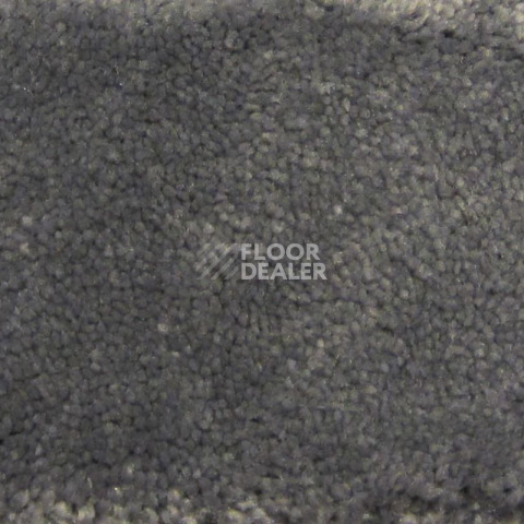 Ковролин Condor Carpets Bentley Bentley 302 фото 1 | FLOORDEALER